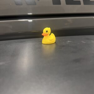 Duck Tire Valve Caps