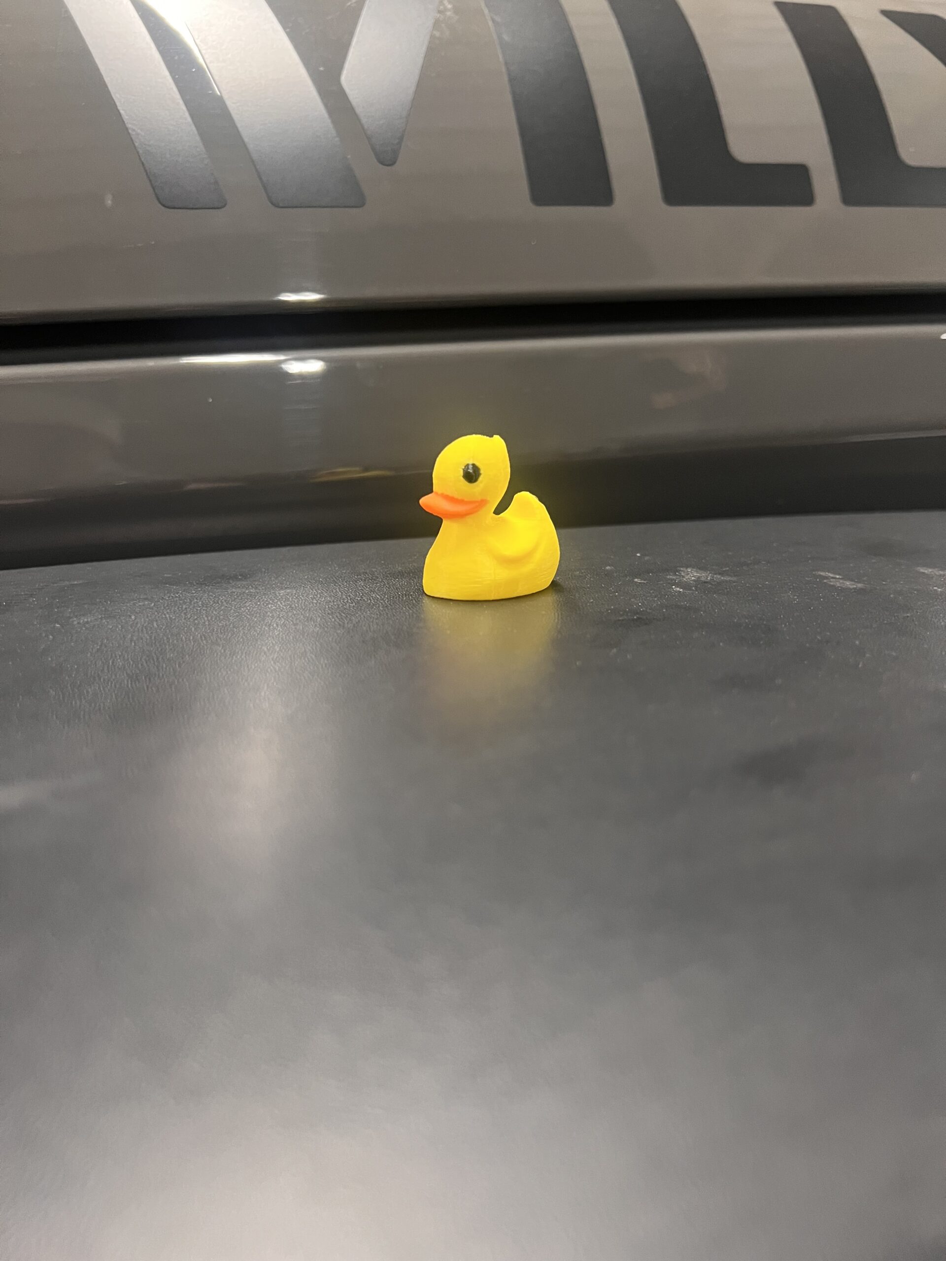 Duck Tire Valve Caps